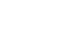 The Verge
